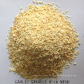 Europe Market 16-26mesh Garlic Granules